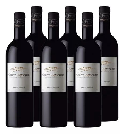 Cheval Des Andes Blend 750 (6 Bottles)