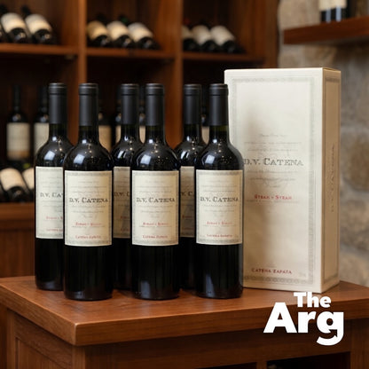 DV Catena Syrah-Syrah Red Wine 750ml | Premium Argentine Wine Case (6 Bottles)