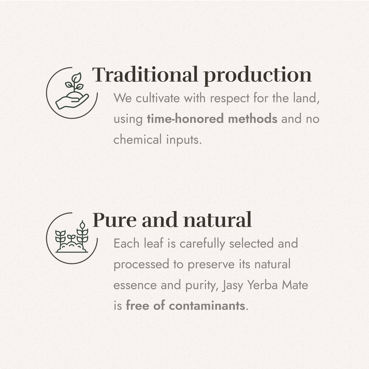 JASY Yerba Mate Tea – Agroecological, 24-Month Aged, Unsmoked 1kg (2.2lb)
