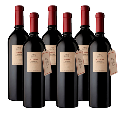 Escorihuela Gascón Pequeñas Producciones Barbera 750ml (6 bottles)