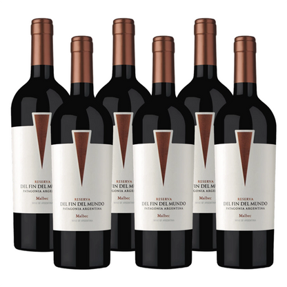 Gran Enemigo Gualtallary Cabernet Franc Vintage 2019 750 ml (caja de 6 botellas)