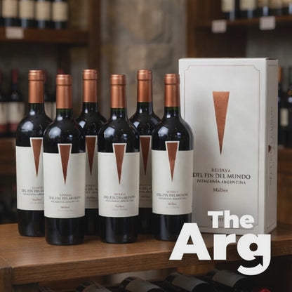 Gran Enemigo Gualtallary Cabernet Franc Vintage 2019 750 ml (caja de 6 botellas)