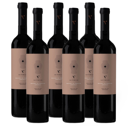 Bodega La Vigilia - Malbec de Terroir Ánfora Cocciopesto (6 Botellas)